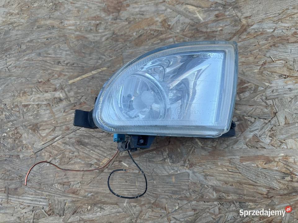 Halogen przód prawy rh Nissan Almera p11 Tino Międzychód