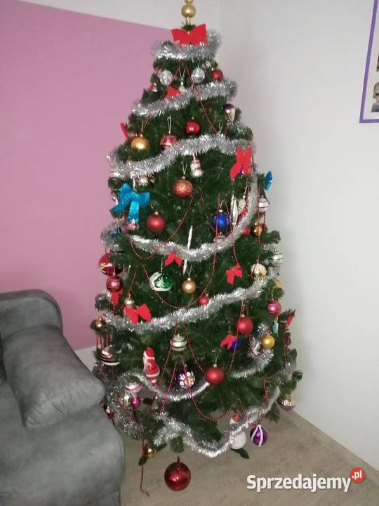 Sprzedam choinkę