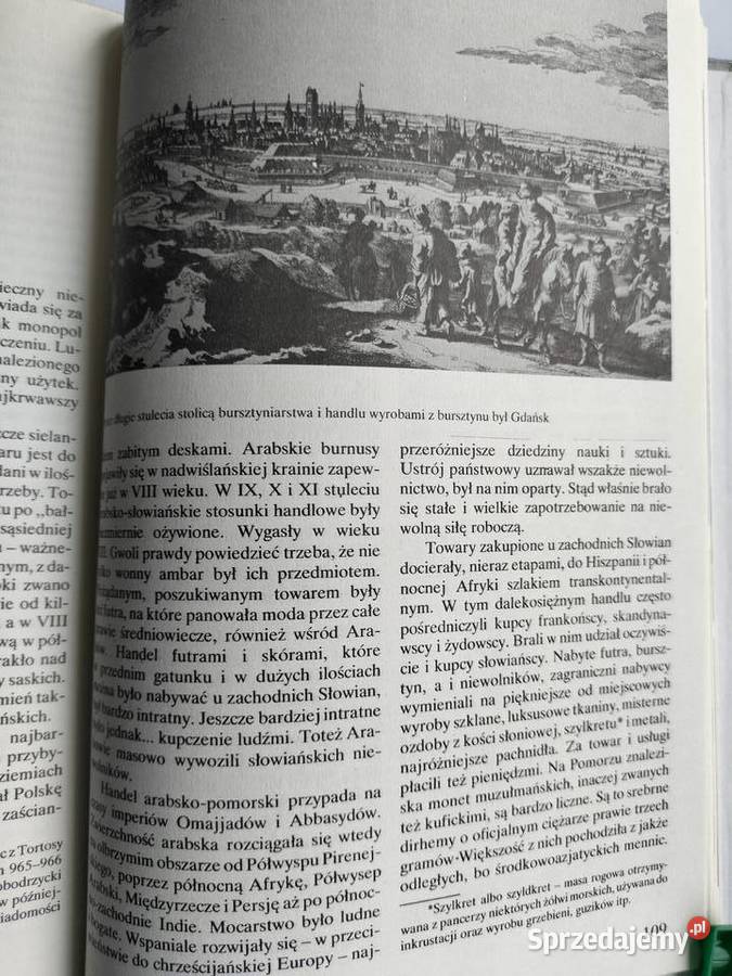 Złoto Północy Opowieści o bursztynie Anna Gdynia