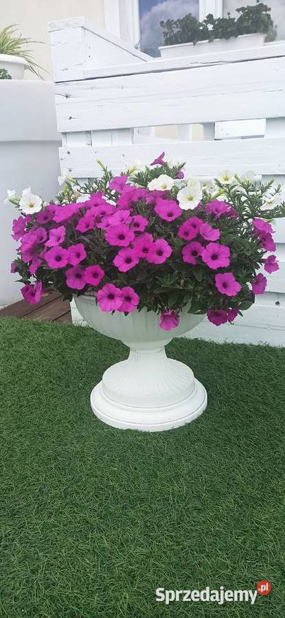 Dekoracje donice na taras balkon Płońsk