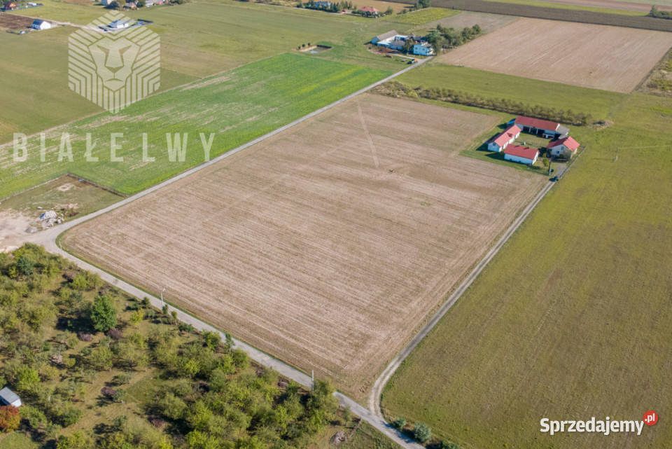 Grunt Prażmów Kołczatki 1000m2
