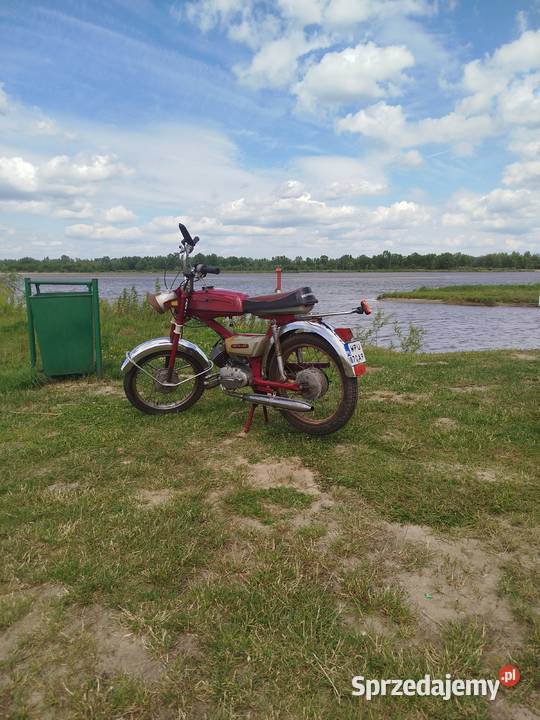 Wierchowina mazowieckie