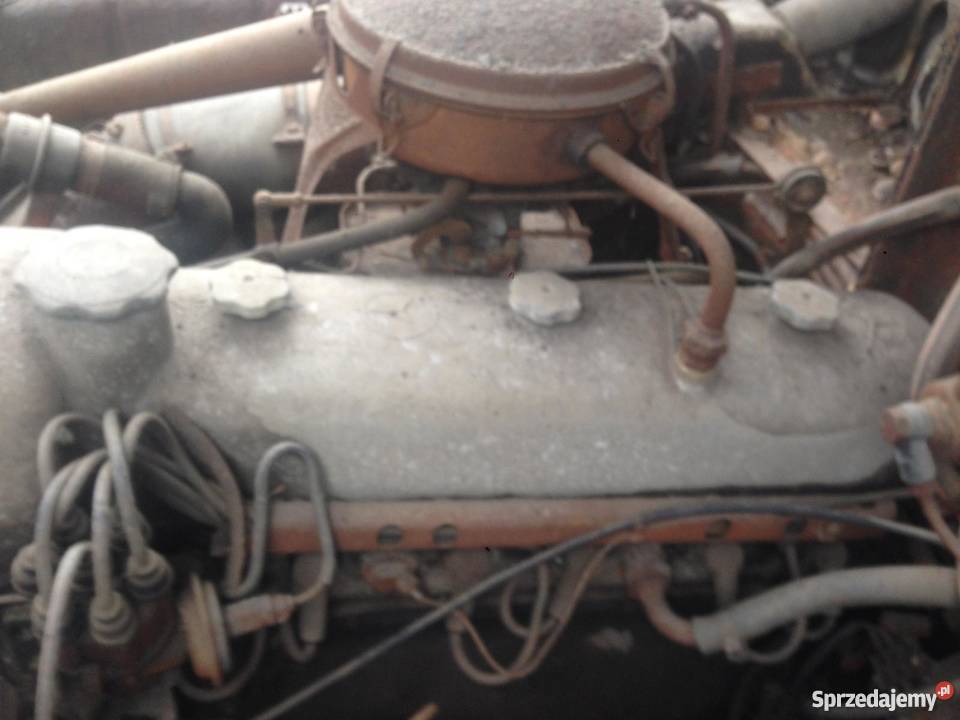 Duży Ponton 219 Osieczna