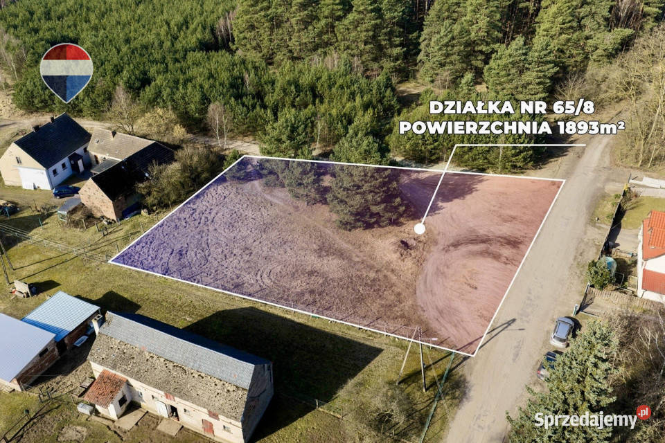 Działka lesie z warunkami zabudowy Nieruchomości Leśniów Mały
