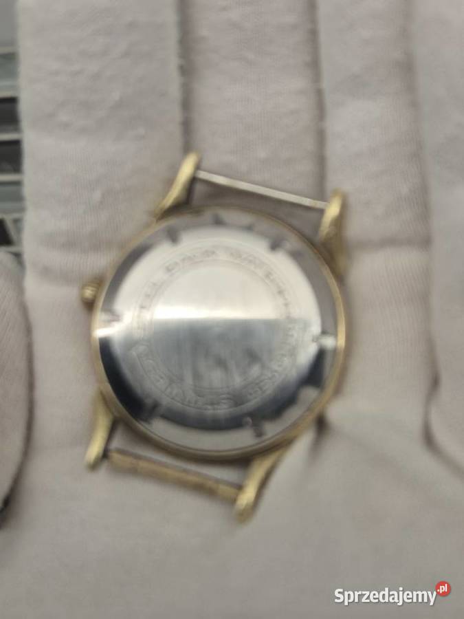 Męski zegarek Herma krab śląskie