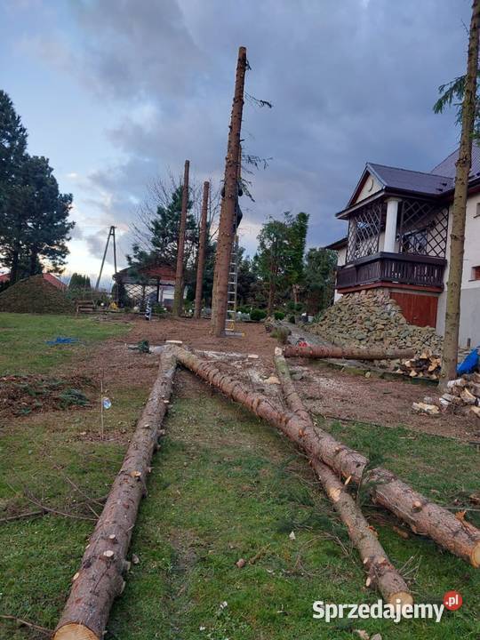 Wycinka ścinka drzew czyszczenie działek usługi Wojnicz