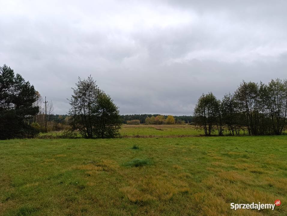 Działka budowlana pod osiedle 29400m2 Piaski gm śląskie