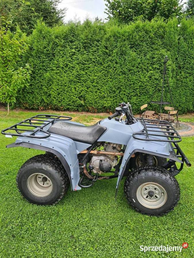 Yamaha big beear śląskie Pszczyna