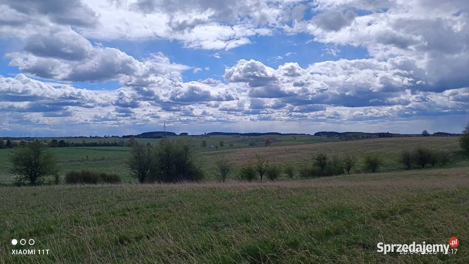 Działka z warunkami zabudowy bud Trelkowo