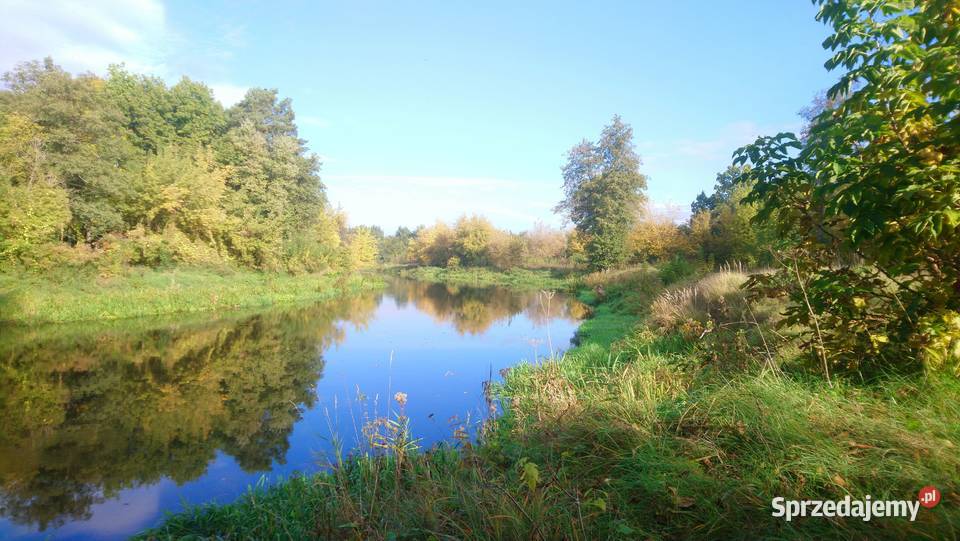 Działka 4828m2 Wkrą pozw na budowę ogrodzenie mazowieckie Popielżyn-Zawady