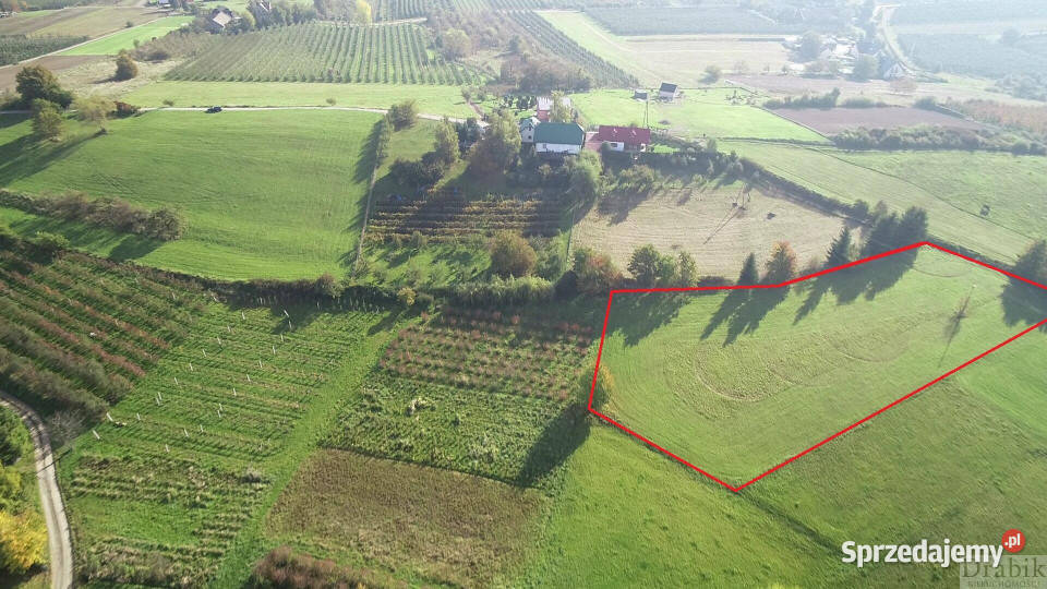 Działka Zegartowice 4000m2 szambo