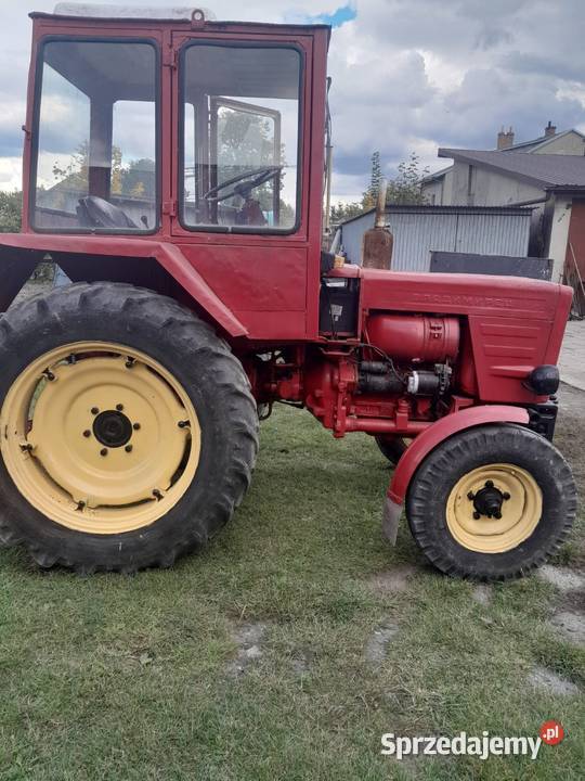 Władimirec T25 Chełm