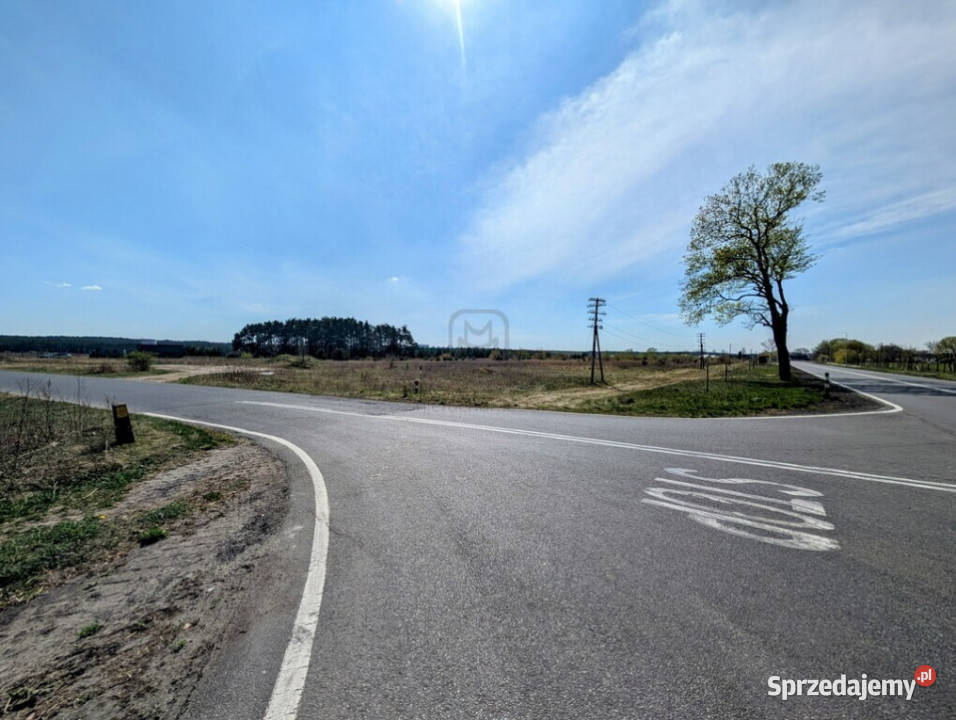 3 ha terenów usługowych DK22 0 Karkoszów sprzedam