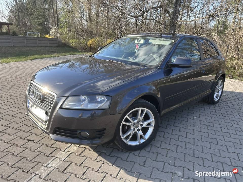 Audi A3 8PA 16TDI 105 nieuszkodzony Żarki