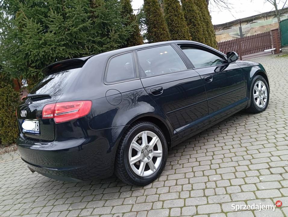 AUDI A3 LIFT 19 TDI ŁADNA 5 DRZWI ZAREJESTR Zarejestrowany w Polsce Gostynin