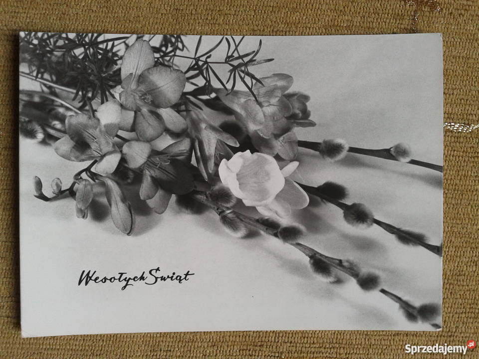 WESOŁYCH ŚWIĄT FOT JERZY WENDOŁOWSKI Piszczac