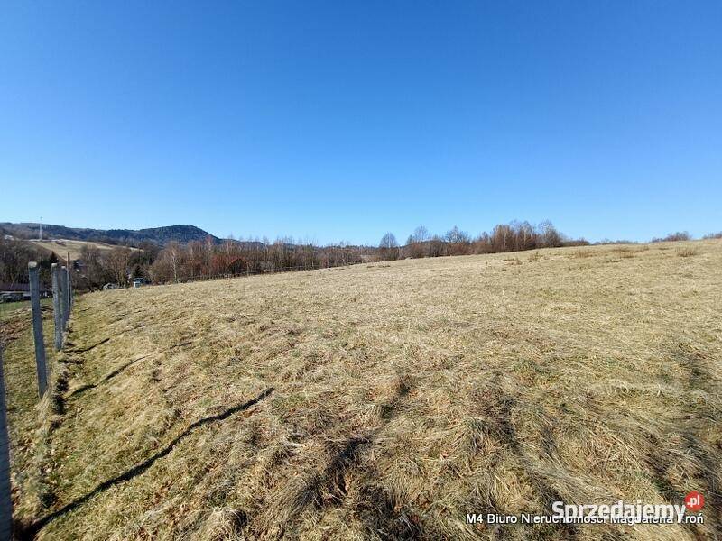 Widokowa 99 arowa działka w Jasienicy Rosielnej polna sprzedam