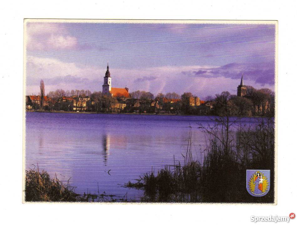 WOLSZTYN POCZTÓWKA Krynki