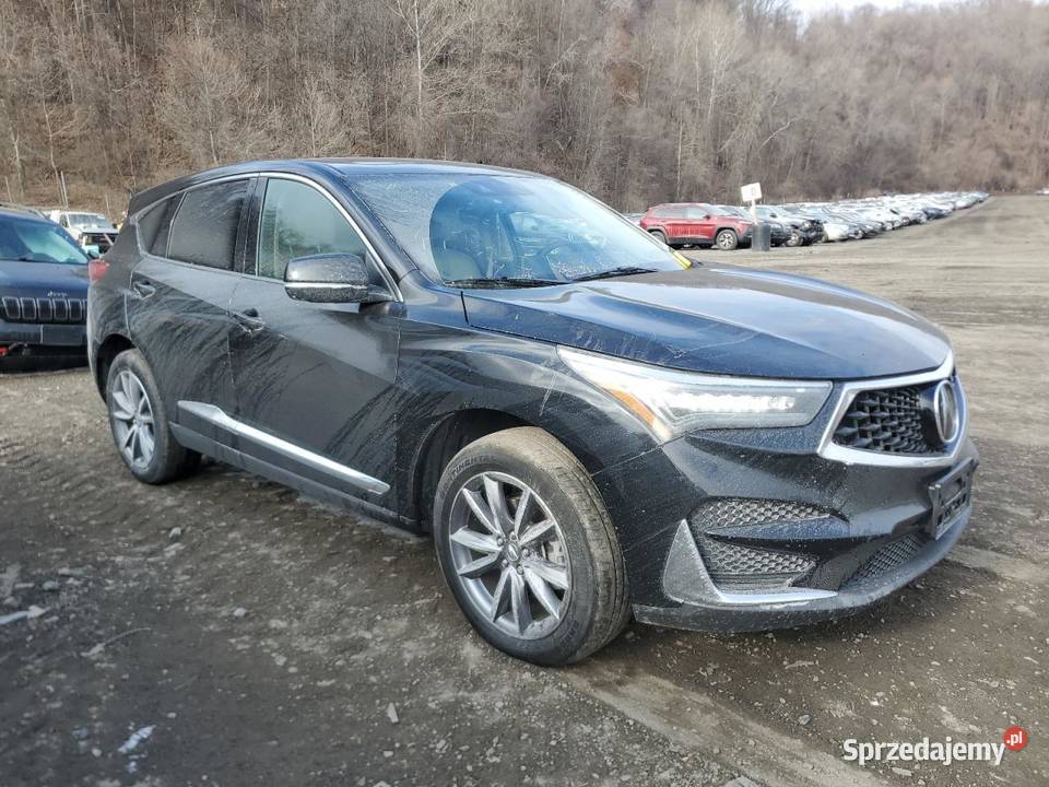 2019 ACURA RDX TECHNOLOGY automatyczna Bełchatów
