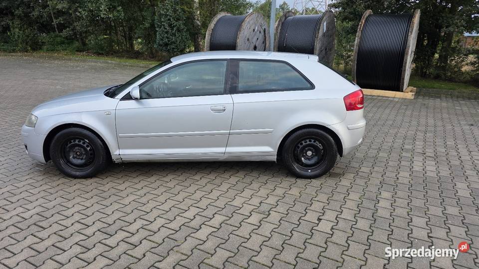 Audi A3 8P 16 MPI Długie opłaty 102KM Świeradów-Zdrój