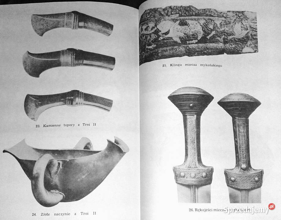 Wojna Trojańska Mit i historia Aleksander Pozostałe Chełm