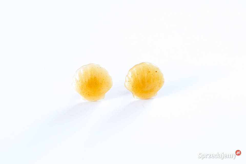 Kolczyki muszelki sztyfty kolor złoty z żywicy Kolczyki mazowieckie Warszawa