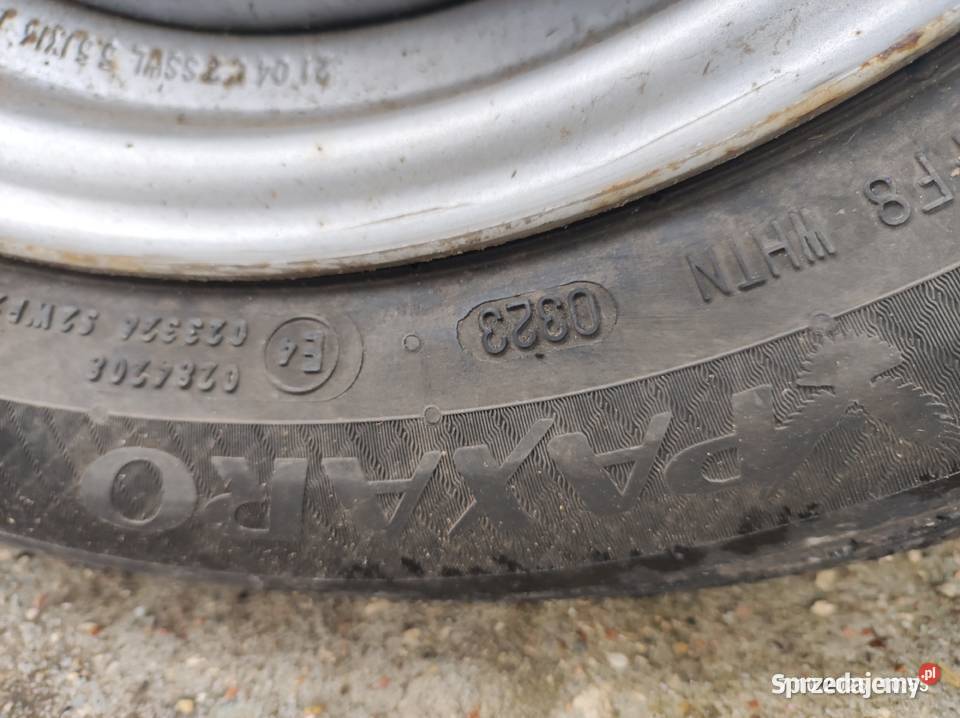 Przyczepa do koni Brenderup Zgierz