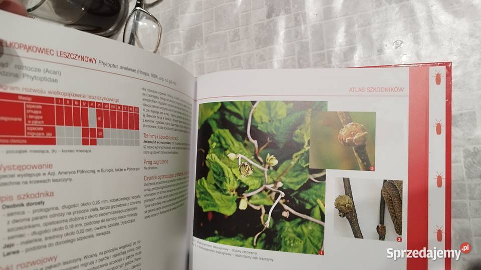 Poradnik książka atlas o szkodnikach drzew Słubice