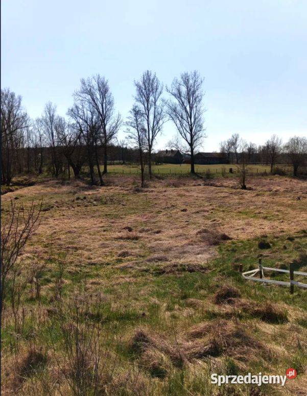 Działka z linią brzegową 130 m rekreacyjna Brzeźnica