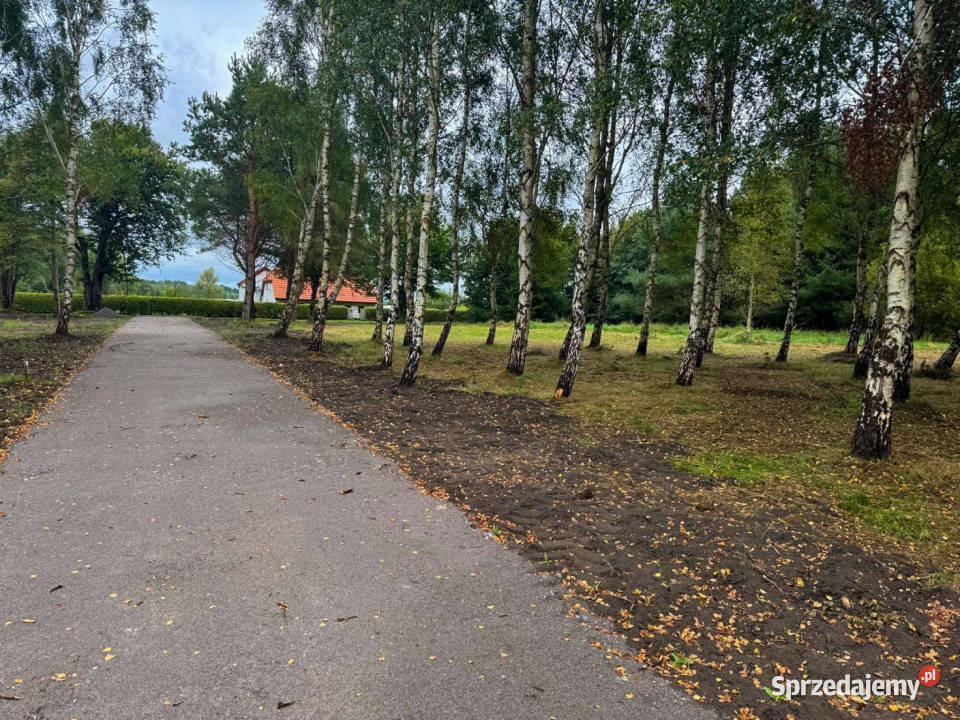 Działka budowlana z laskiem Darłowo