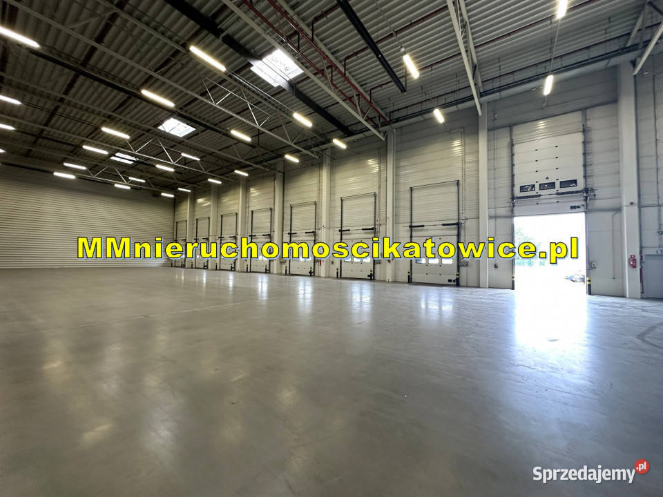 Magazyn do wynajęcia z regałami Katowice A4 2500m2