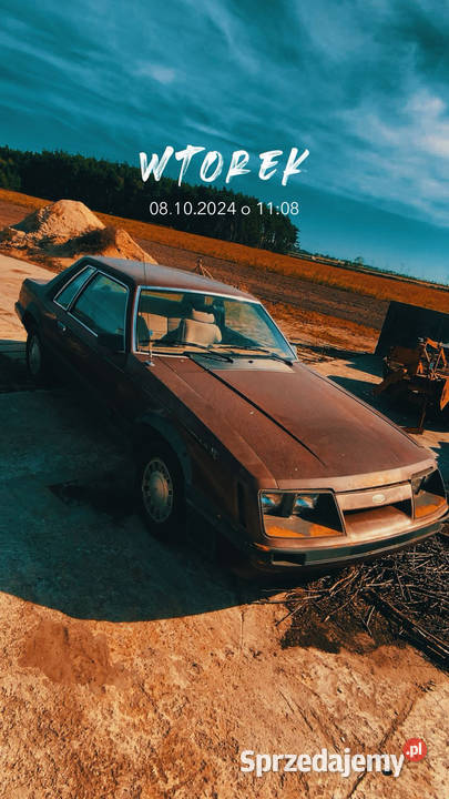 Ford Mustang wielkopolskie Jarocin