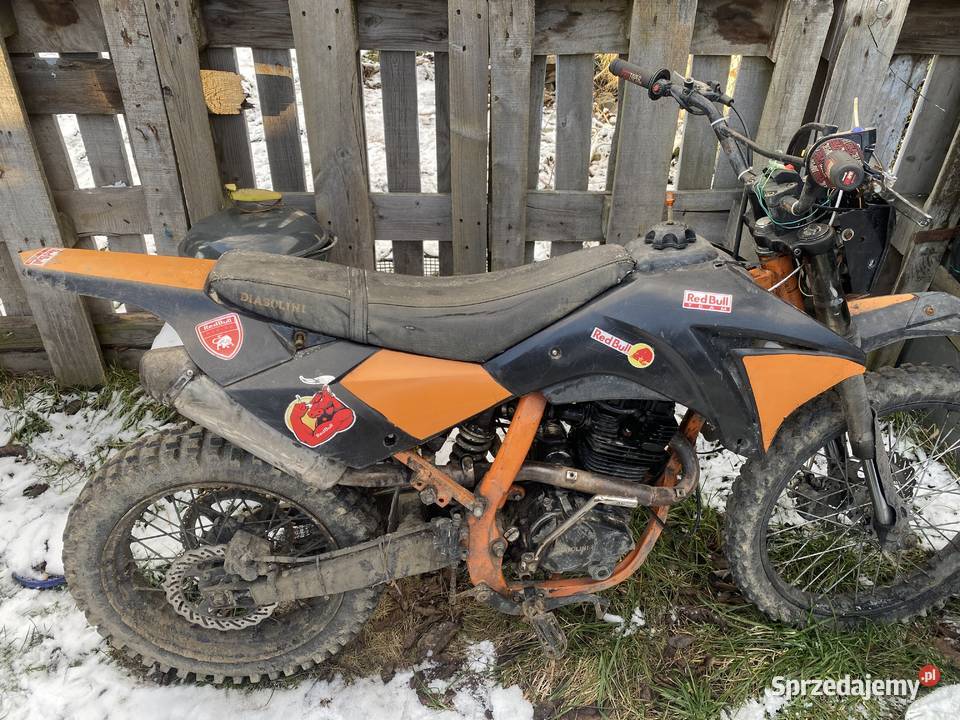 Diabolini 259 Czerwionka-Leszczyny sprzedam