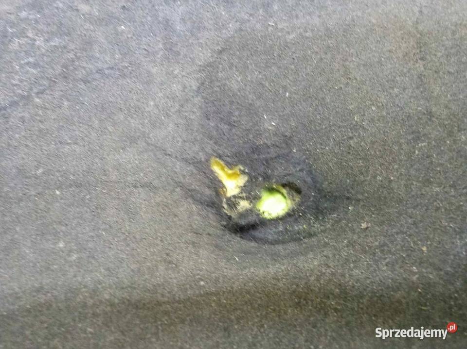 LAND ROVER FREELANDER II 08r wygluszenie maski Suków