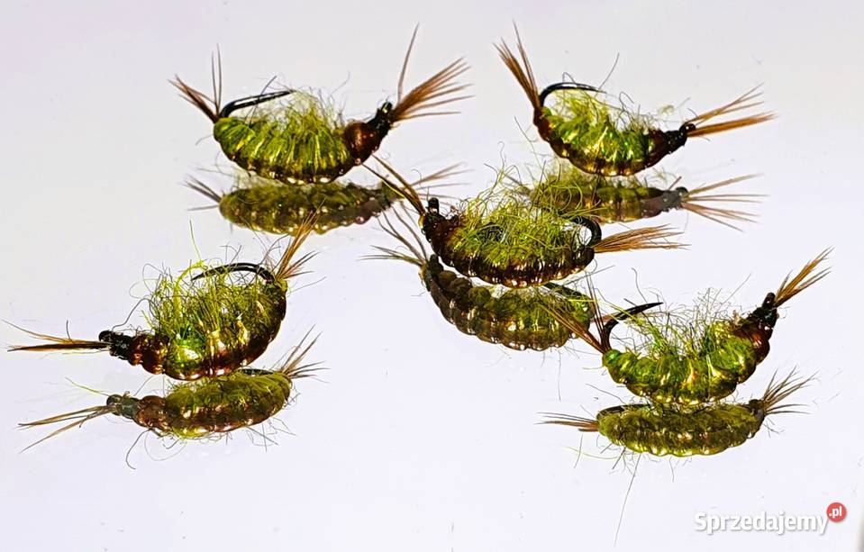 Sztuczne muchy kiełże Wędkarstwo dolnośląskie Leśna