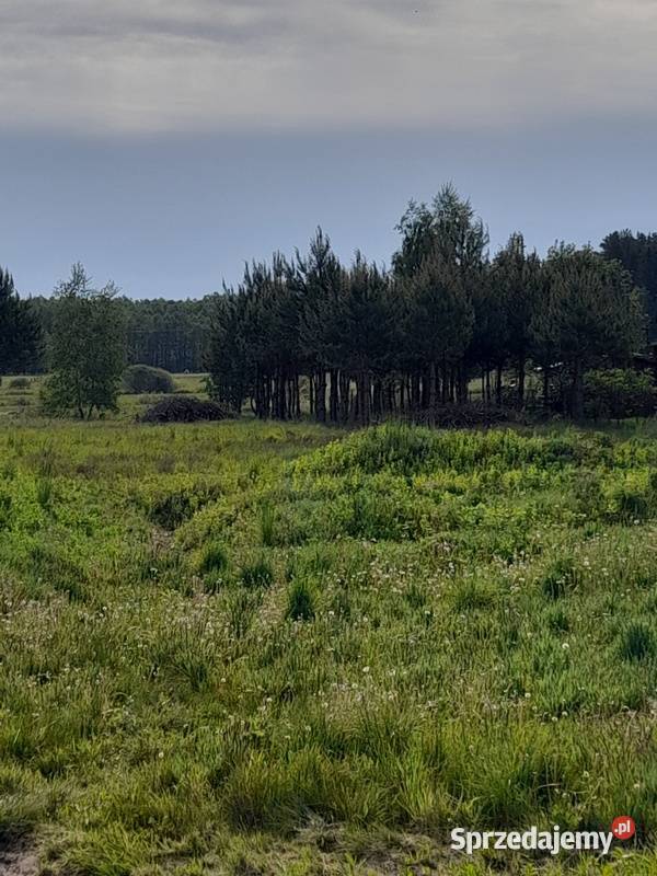 Działka w Lewickich pod dom jednorodzinny i pod