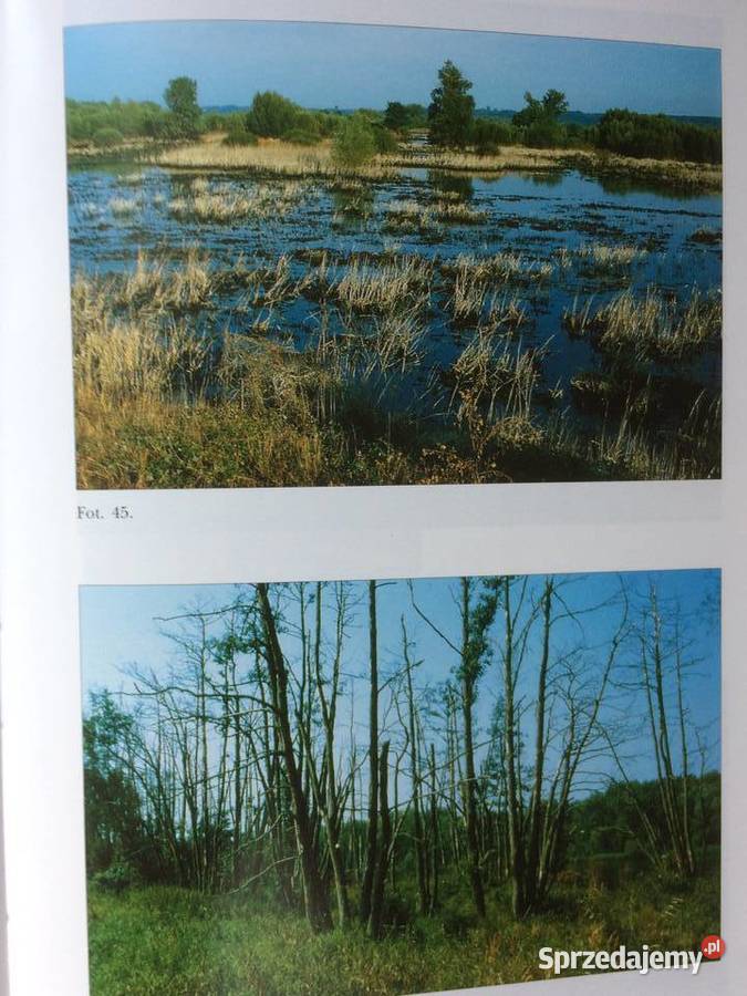 3014 Dolina Dolnej Odry Szczecin