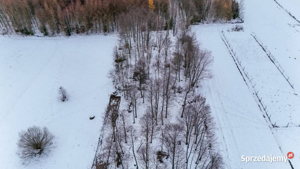 sprzedaży gruntu 1900 metrów Besko