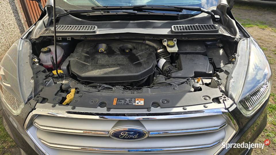 Ford KugaEscape 20 EcoBoost 240 Automat 4x4 240KM podkarpackie Mielec