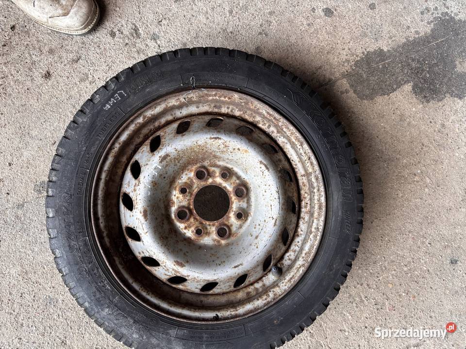 felfa 13 Uno Seicento Cinquecento oryginał tanio Kosianka-Boruty sprzedam