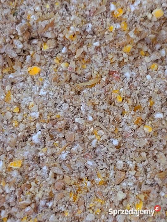 Karma pasza śruta kur 18 tygodnia Pozostałe Łosice