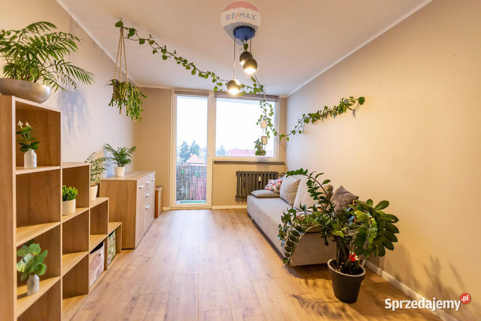 Do wynajęcia 3 pokoje w centrum Zielonej Góry lubuskie Zielona Góra sprzedam