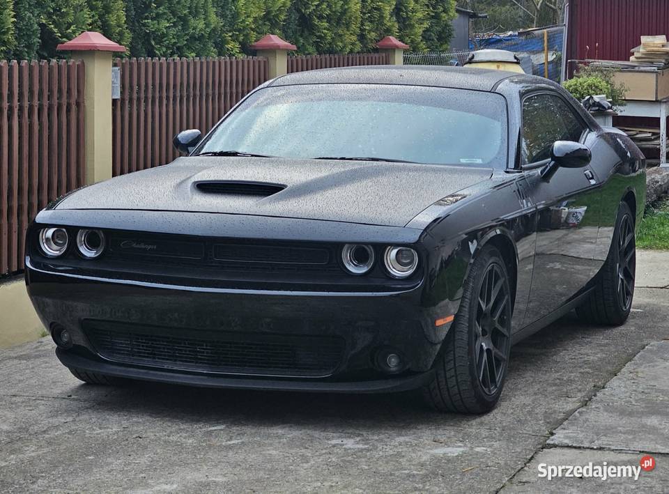 Dodge Challenger 57 TA Sportowy / Coupe podkarpackie Dębica