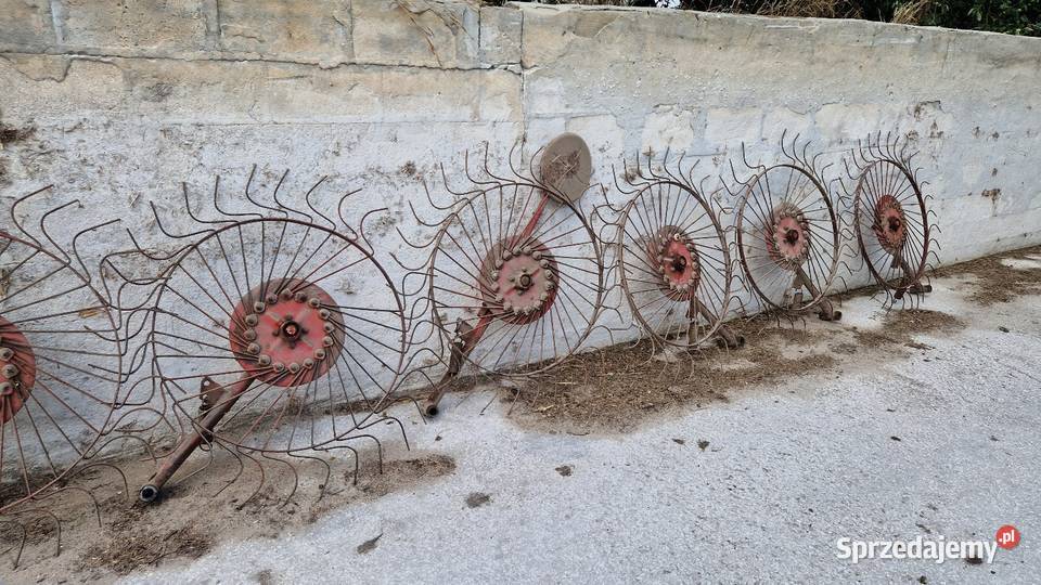 Koło grabiące kompletne z palcami Zgrabiarka Błogoszów