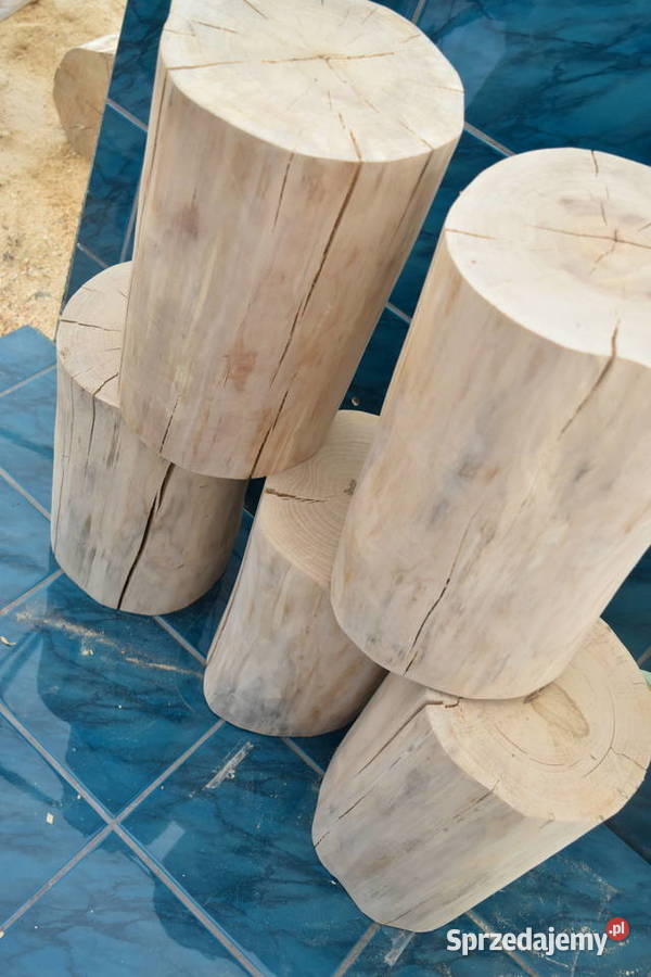 Pień stojak kwietnik 40 średnica ok20 drapak podkarpackie Leżajsk