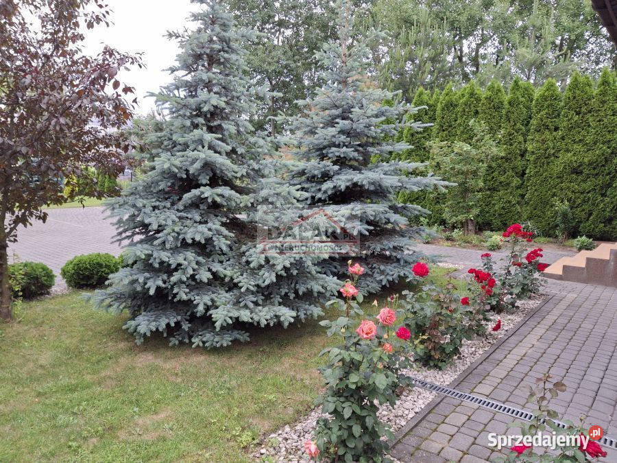Dom wolnostojący 250m2 Warka Gośniewska 2 piętra sprzedam
