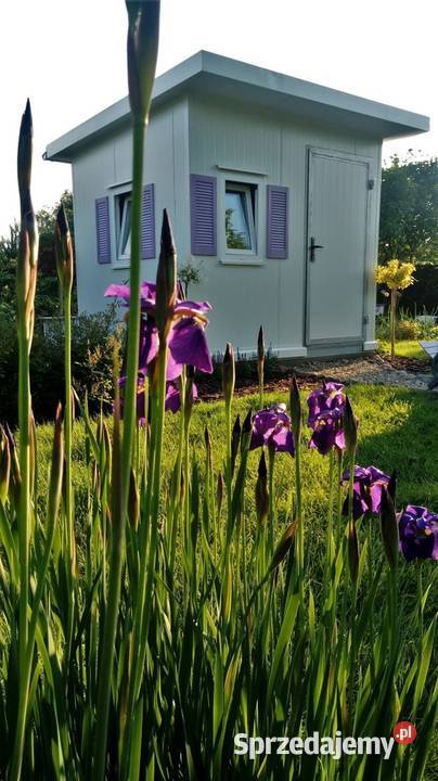 Działka ROD Wrzos w Radomiu mazowieckie Radom