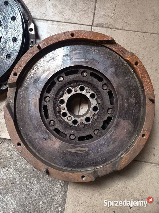 Dwumase do Lexusa is czyt opis Borów