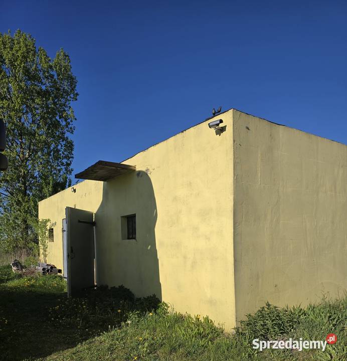 Dom w ciszy I zieleni Kutno