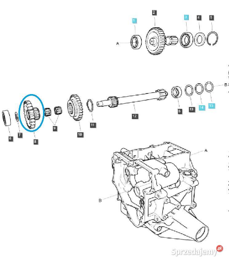 Koło zębate przekładni MPTO 23T TRG287 LS MT125 podkarpackie Tajęcina